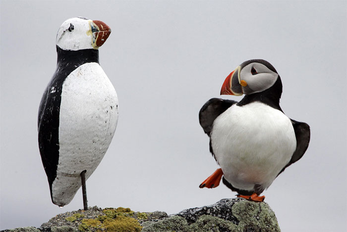 You Will Be Smiling Like An Idiot After Seeing These 239 Wholesome Pictures You Will Be Smiling Like An Idiot After Seeing These 239 Wholesome Pictures