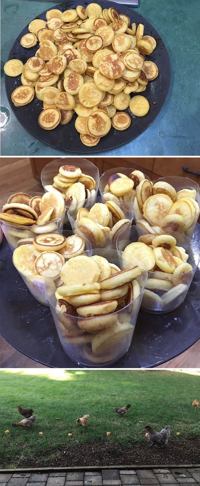 You Will Be Smiling Like An Idiot After Seeing These 239 Wholesome Pictures You Will Be Smiling Like An Idiot After Seeing These 239 Wholesome Pictures