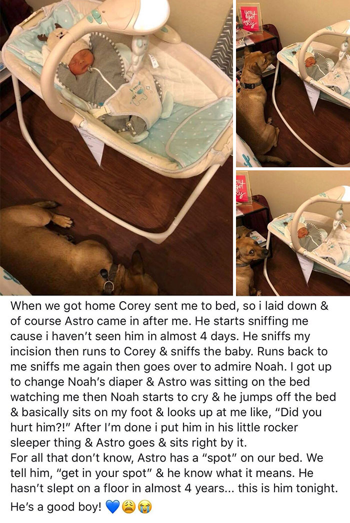 You Will Be Smiling Like An Idiot After Seeing These 239 Wholesome Pictures You Will Be Smiling Like An Idiot After Seeing These 239 Wholesome Pictures