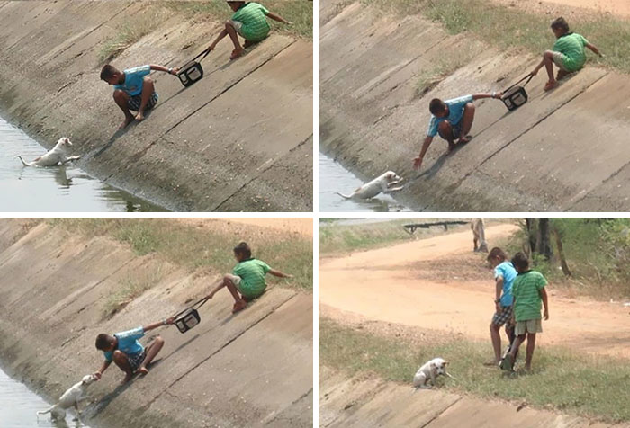 You Will Be Smiling Like An Idiot After Seeing These 239 Wholesome Pictures You Will Be Smiling Like An Idiot After Seeing These 239 Wholesome Pictures