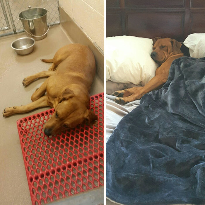 You Will Be Smiling Like An Idiot After Seeing These 239 Wholesome Pictures You Will Be Smiling Like An Idiot After Seeing These 239 Wholesome Pictures