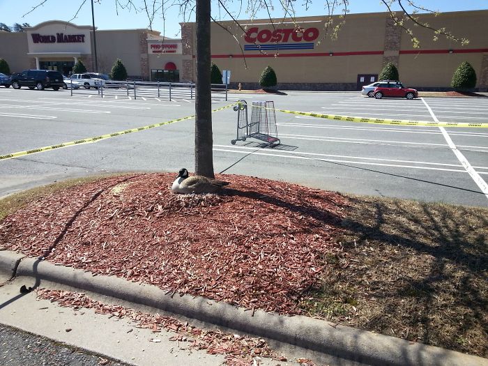 You Will Be Smiling Like An Idiot After Seeing These 239 Wholesome Pictures You Will Be Smiling Like An Idiot After Seeing These 239 Wholesome Pictures