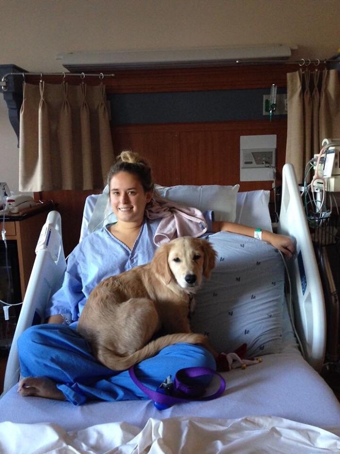 You Will Be Smiling Like An Idiot After Seeing These 239 Wholesome Pictures You Will Be Smiling Like An Idiot After Seeing These 239 Wholesome Pictures