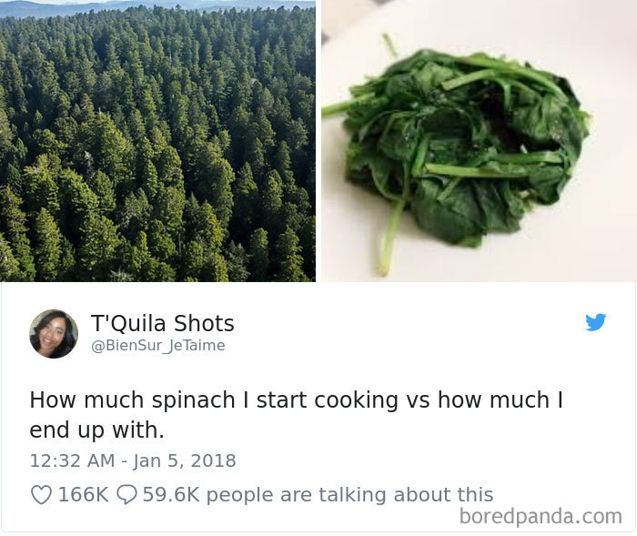 312 Epic Tweets By Women That Made The Whole Internet Laugh Out Loud