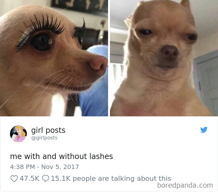 312 Epic Tweets By Women That Made The Whole Internet Laugh Out Loud