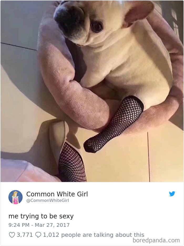 312 Epic Tweets By Women That Made The Whole Internet Laugh Out Loud