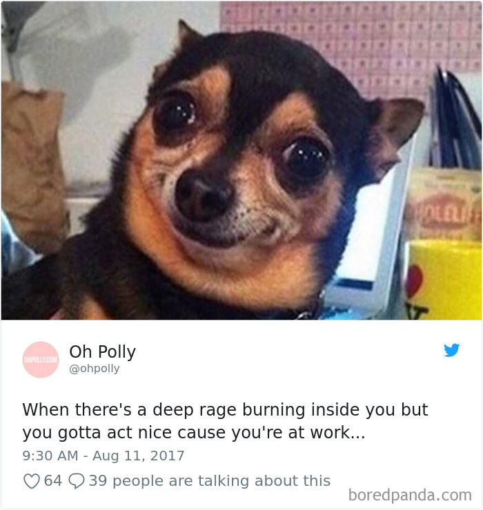 312 Epic Tweets By Women That Made The Whole Internet Laugh Out Loud