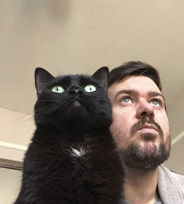 This Man And His Dog Just Inspired The Most Adorable ‘Twinning’ Trend, And The Photos Will Make Your Day This Man And His Dog Just Inspired The Most Adorable ‘Twinning’ Trend, And The Photos Will Make Your Day