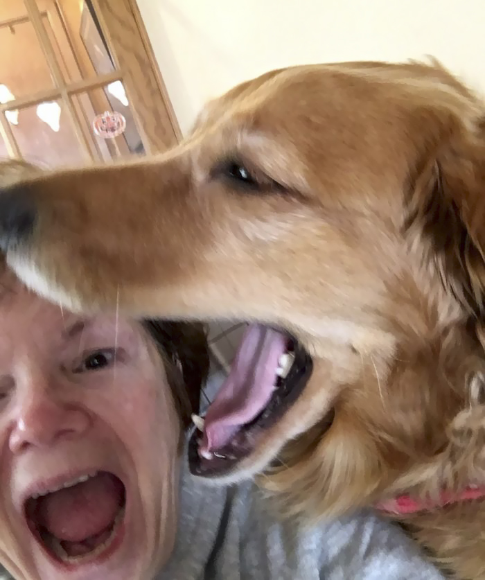 This Man And His Dog Just Inspired The Most Adorable ‘Twinning’ Trend, And The Photos Will Make Your Day This Man And His Dog Just Inspired The Most Adorable ‘Twinning’ Trend, And The Photos Will Make Your Day