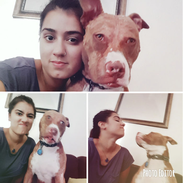 This Man And His Dog Just Inspired The Most Adorable ‘Twinning’ Trend, And The Photos Will Make Your Day This Man And His Dog Just Inspired The Most Adorable ‘Twinning’ Trend, And The Photos Will Make Your Day