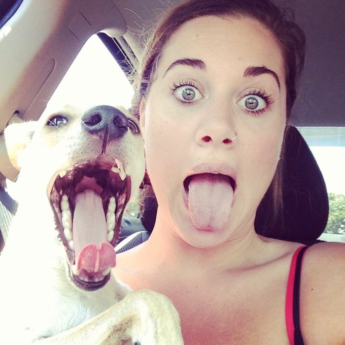 This Man And His Dog Just Inspired The Most Adorable ‘Twinning’ Trend, And The Photos Will Make Your Day This Man And His Dog Just Inspired The Most Adorable ‘Twinning’ Trend, And The Photos Will Make Your Day