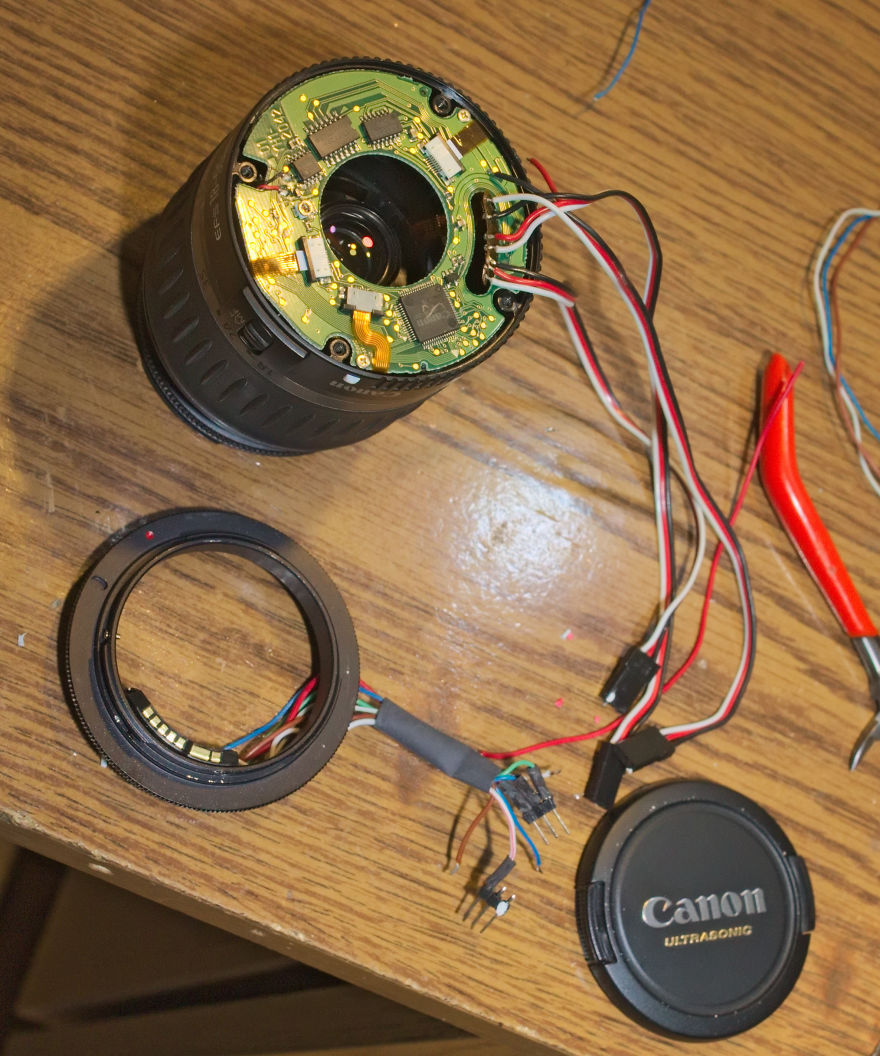 I Made A Macro Lens From Canon 18-55 And Was Surprised By The Shots It Can Take I Made A Macro Lens From Canon 18-55 And Was Surprised By The Shots It Can Take