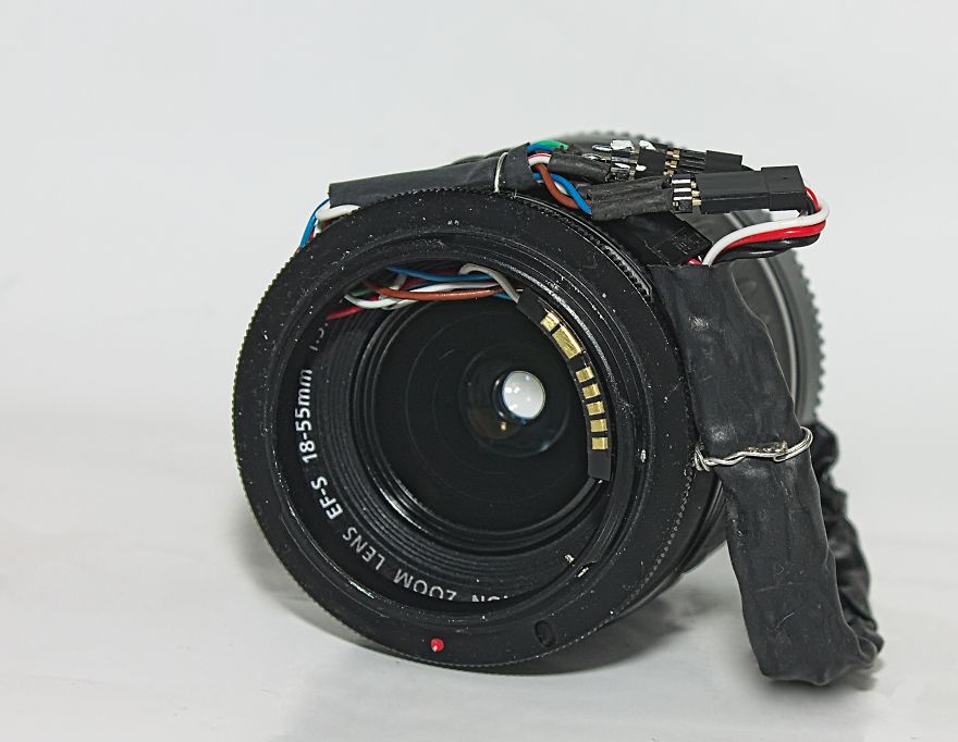 I Made A Macro Lens From Canon 18-55 And Was Surprised By The Shots It Can Take I Made A Macro Lens From Canon 18-55 And Was Surprised By The Shots It Can Take