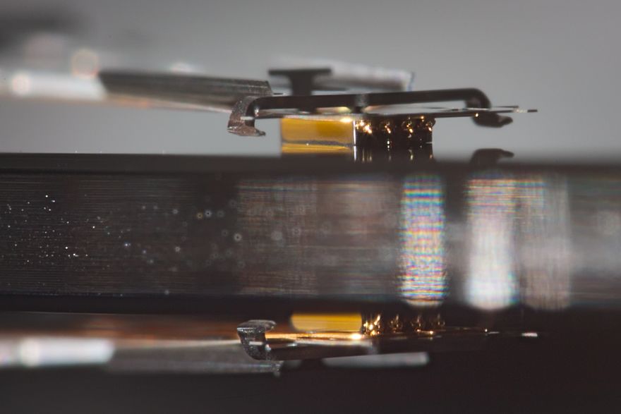 I Made A Macro Lens From Canon 18-55 And Was Surprised By The Shots It Can Take I Made A Macro Lens From Canon 18-55 And Was Surprised By The Shots It Can Take