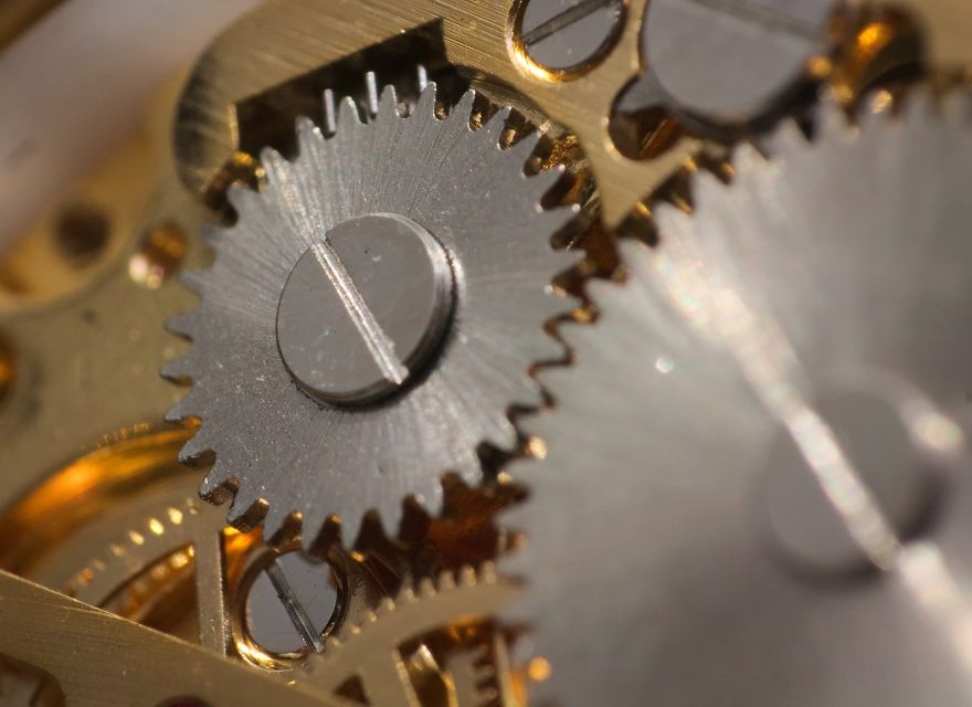 I Made A Macro Lens From Canon 18-55 And Was Surprised By The Shots It Can Take I Made A Macro Lens From Canon 18-55 And Was Surprised By The Shots It Can Take