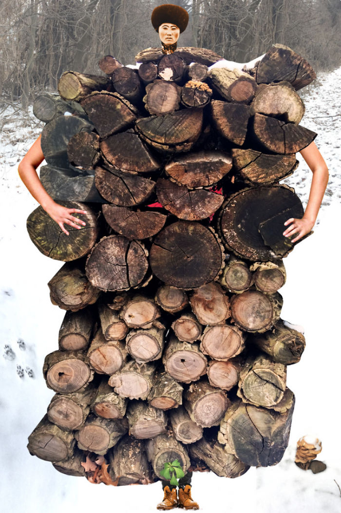 The Catalogue Of Imaginary Beings