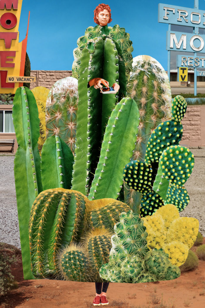 The Catalogue Of Imaginary Beings