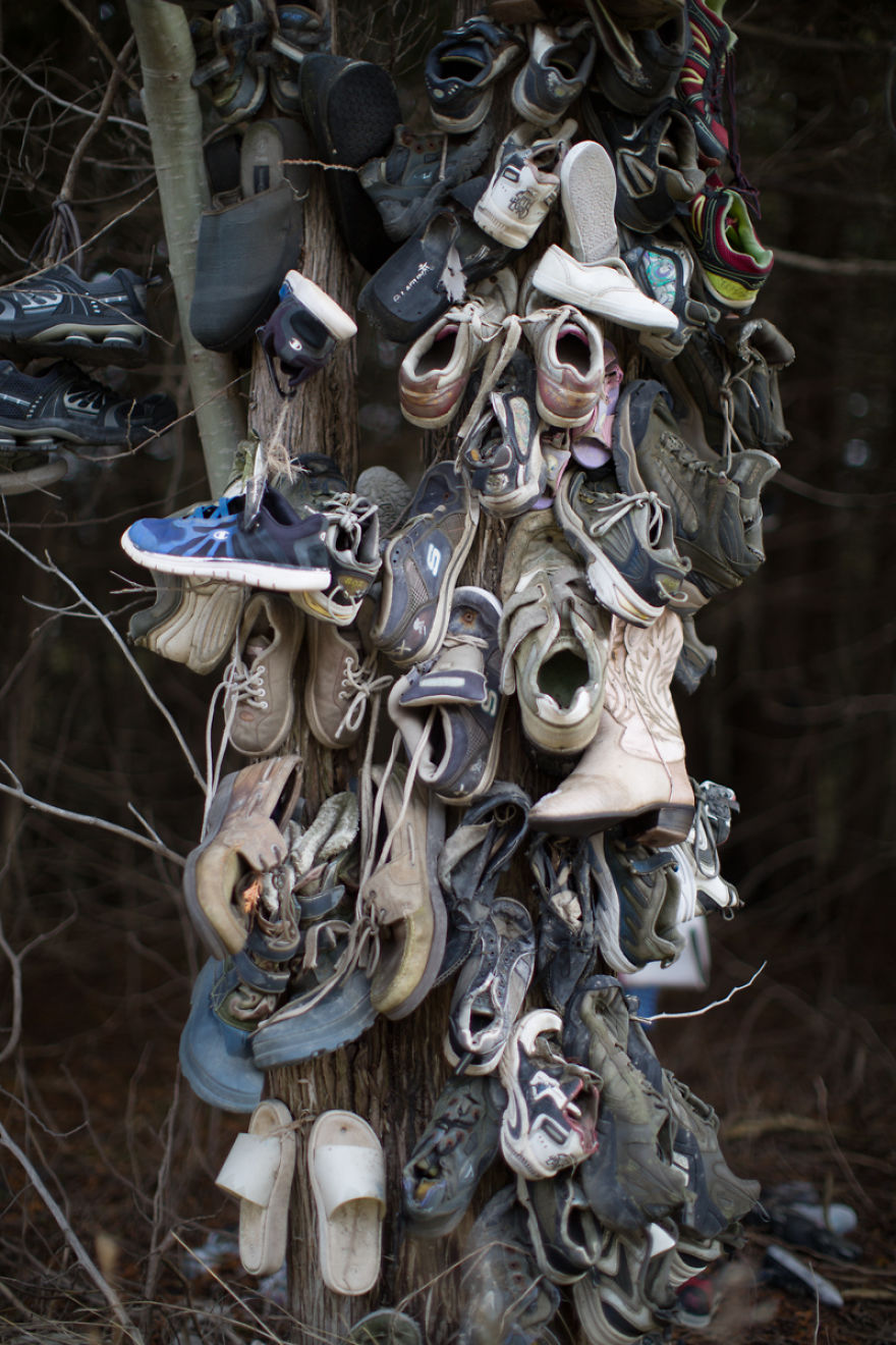 I Accidentally Found A Mysterious Forest Full Of Shoes I Accidentally Found A Mysterious Forest Full Of Shoes