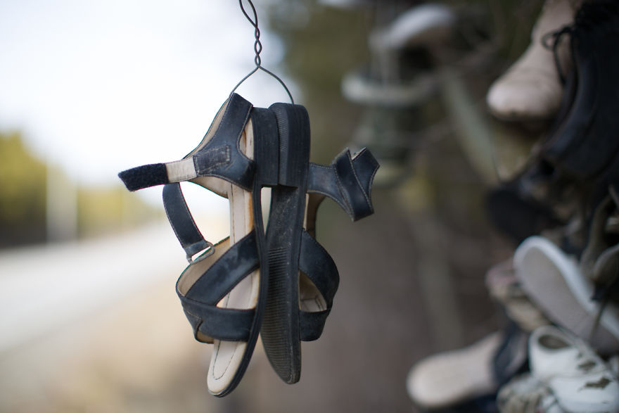 I Accidentally Found A Mysterious Forest Full Of Shoes I Accidentally Found A Mysterious Forest Full Of Shoes