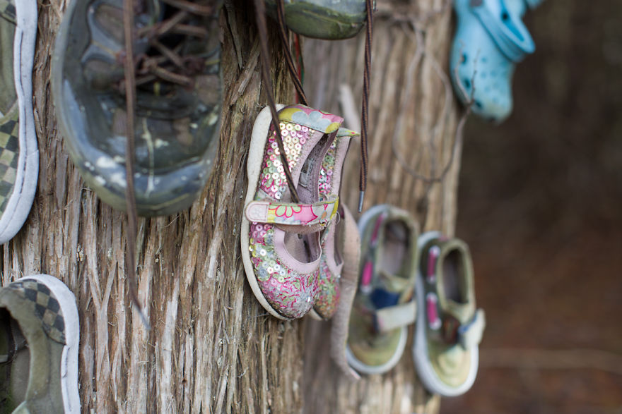 I Accidentally Found A Mysterious Forest Full Of Shoes I Accidentally Found A Mysterious Forest Full Of Shoes