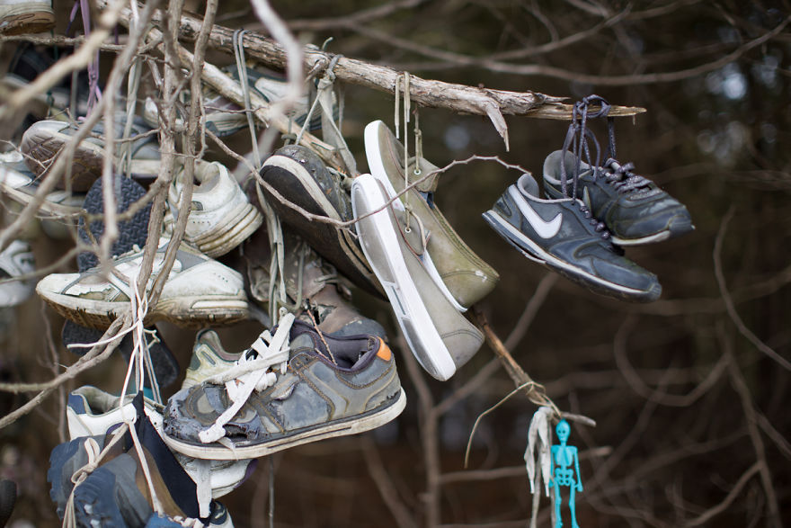 I Accidentally Found A Mysterious Forest Full Of Shoes I Accidentally Found A Mysterious Forest Full Of Shoes