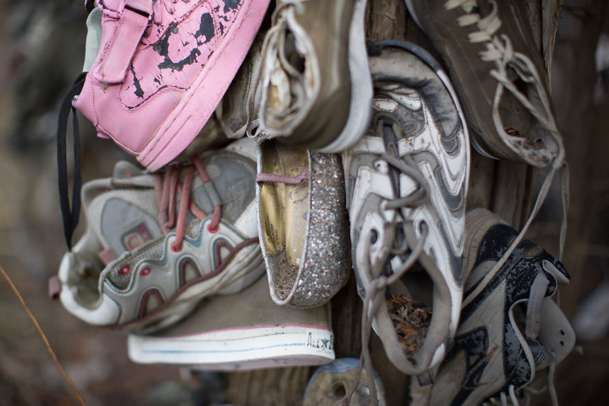 I Accidentally Found A Mysterious Forest Full Of Shoes I Accidentally Found A Mysterious Forest Full Of Shoes