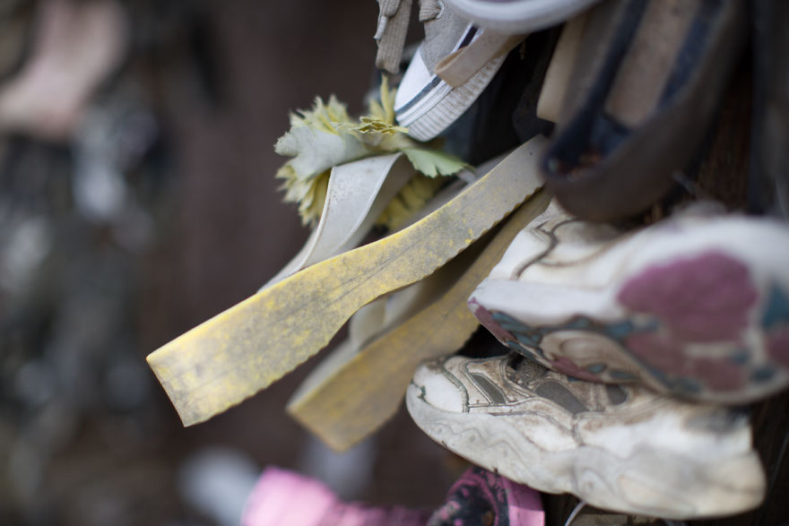 I Accidentally Found A Mysterious Forest Full Of Shoes I Accidentally Found A Mysterious Forest Full Of Shoes