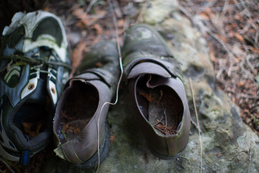 I Accidentally Found A Mysterious Forest Full Of Shoes I Accidentally Found A Mysterious Forest Full Of Shoes