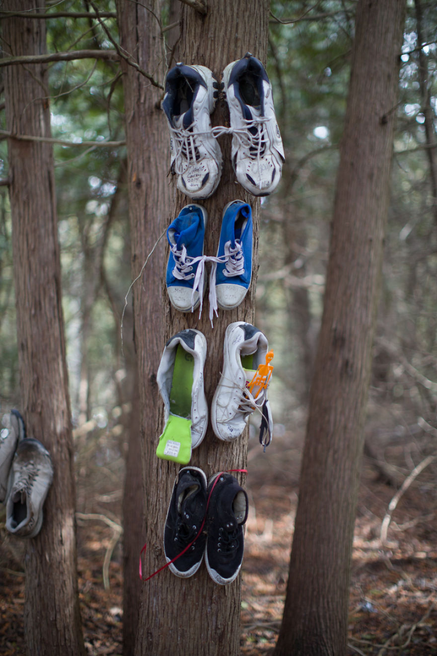 I Accidentally Found A Mysterious Forest Full Of Shoes I Accidentally Found A Mysterious Forest Full Of Shoes