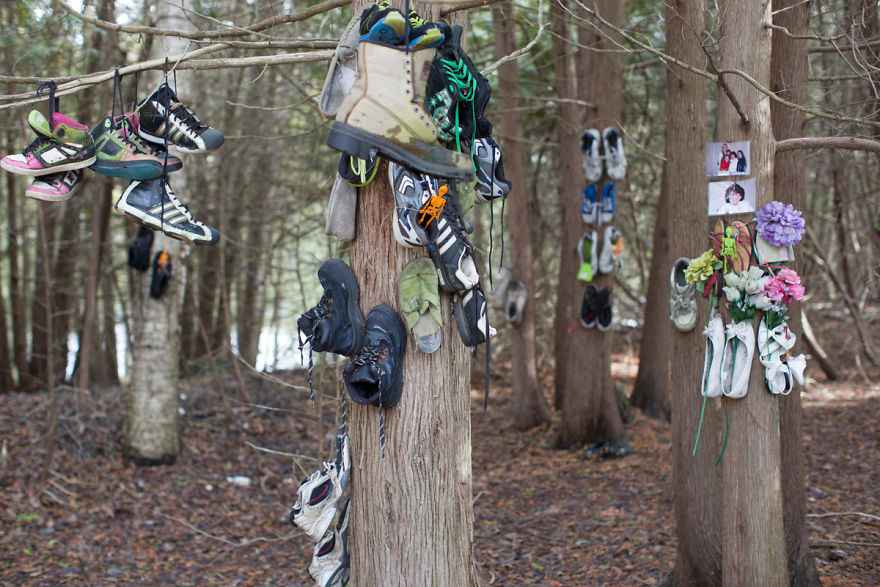 I Accidentally Found A Mysterious Forest Full Of Shoes I Accidentally Found A Mysterious Forest Full Of Shoes