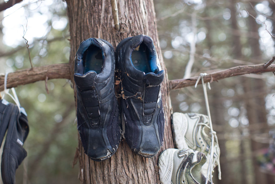 I Accidentally Found A Mysterious Forest Full Of Shoes I Accidentally Found A Mysterious Forest Full Of Shoes