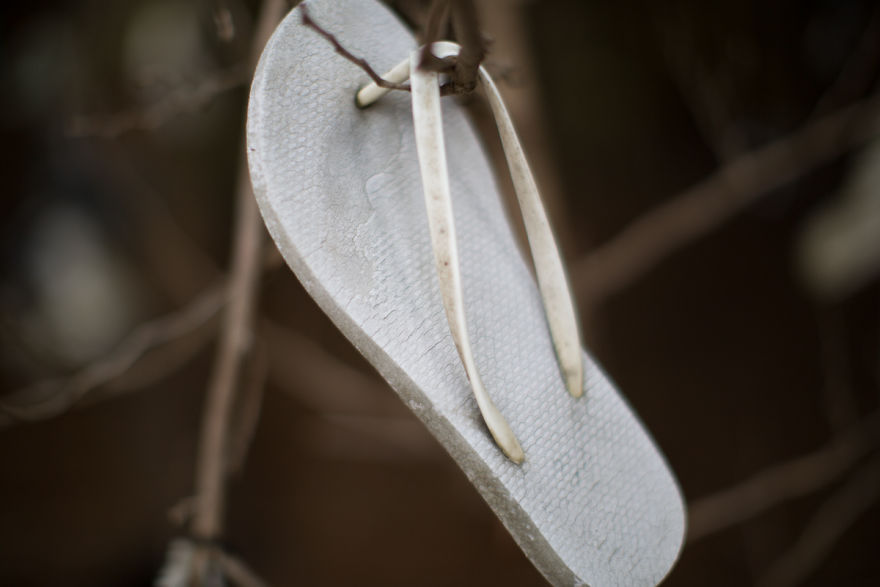 I Accidentally Found A Mysterious Forest Full Of Shoes I Accidentally Found A Mysterious Forest Full Of Shoes