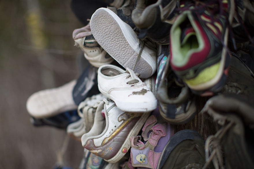 I Accidentally Found A Mysterious Forest Full Of Shoes I Accidentally Found A Mysterious Forest Full Of Shoes