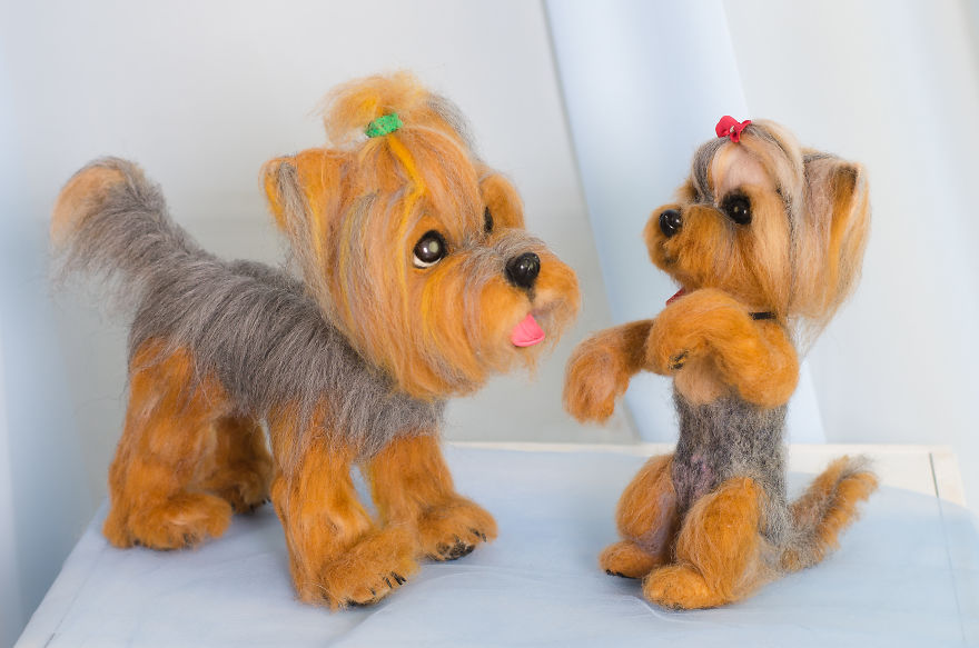 What Are These Cute Little Yorkies Made Of? What Do You Think? What Are These Cute Little Yorkies Made Of? What Do You Think?