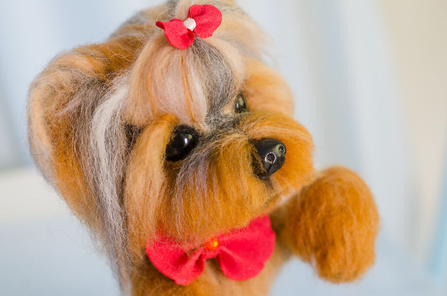 What Are These Cute Little Yorkies Made Of? What Do You Think? What Are These Cute Little Yorkies Made Of? What Do You Think?