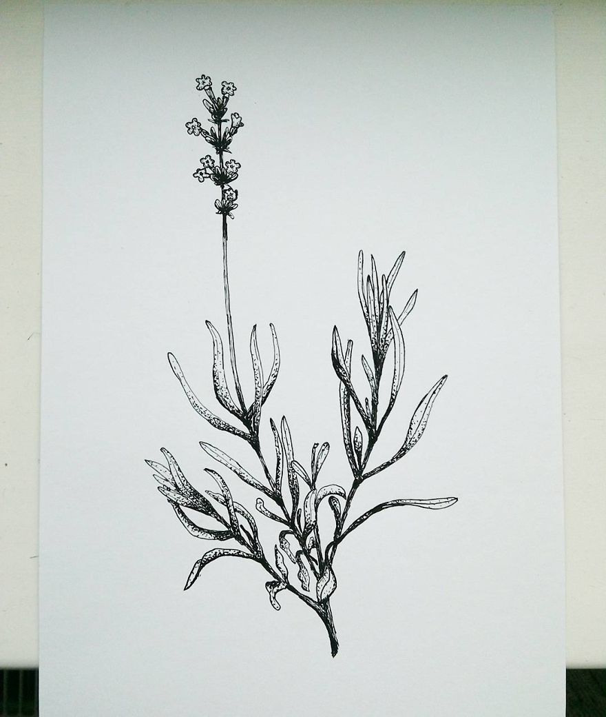 I Enjoy Drawing Ink Dots And Lines I Enjoy Drawing Ink Dots And Lines