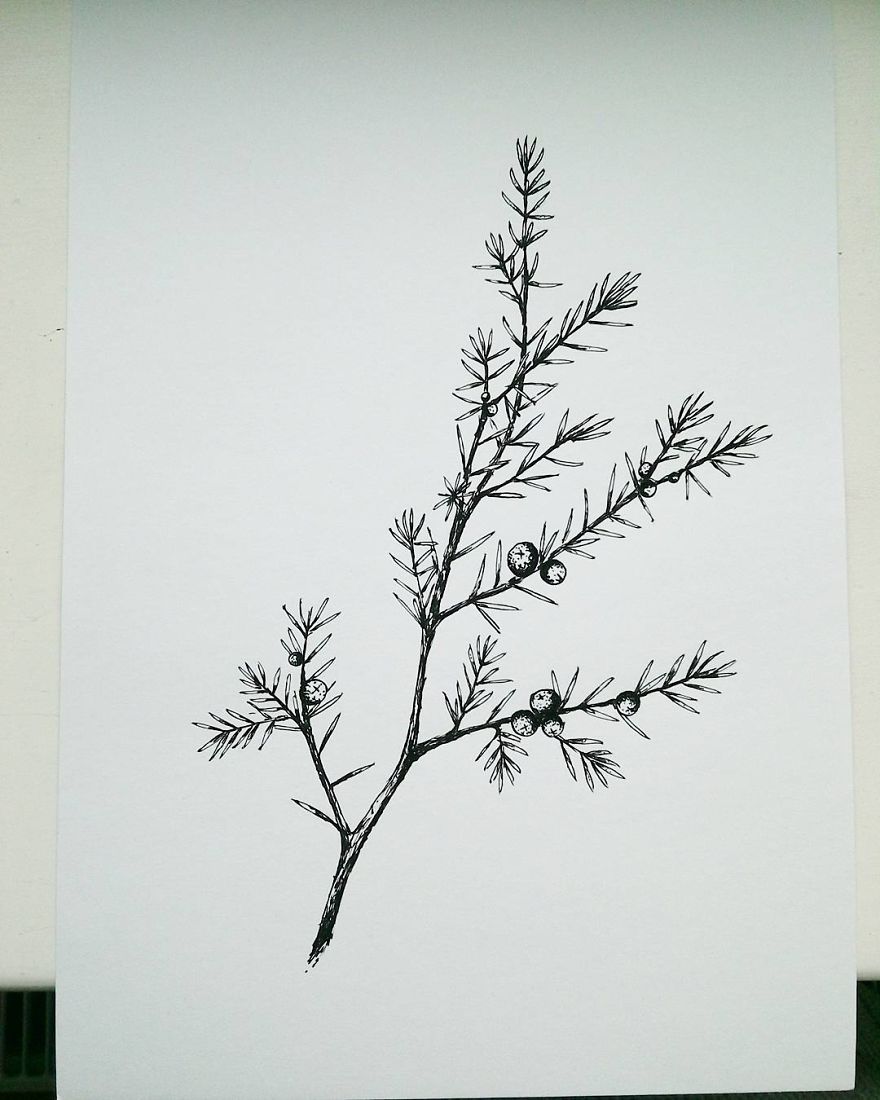 I Enjoy Drawing Ink Dots And Lines