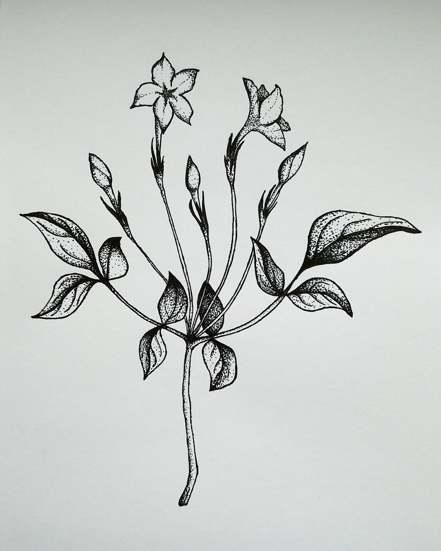 I Enjoy Drawing Ink Dots And Lines