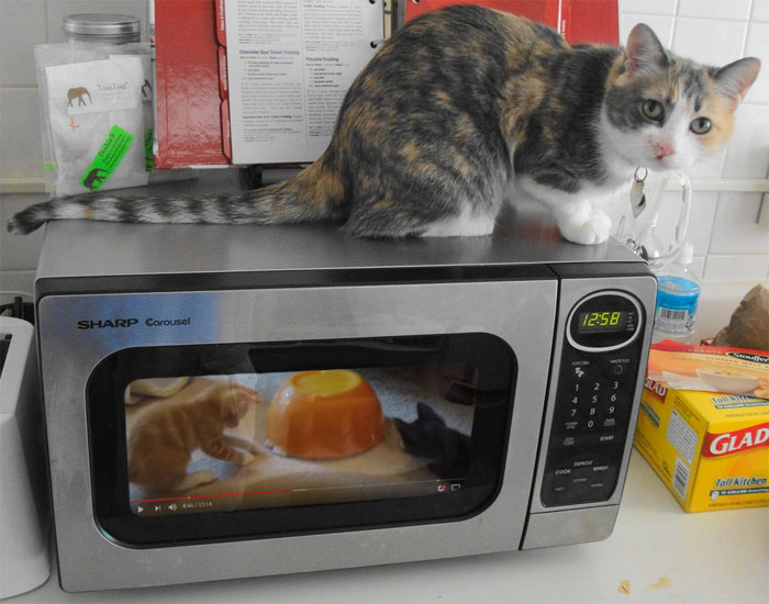 241 Times People Had Genius Ideas That Are So Crazy They Might Actually Work 241 Times People Had Genius Ideas That Are So Crazy They Might Actually Work