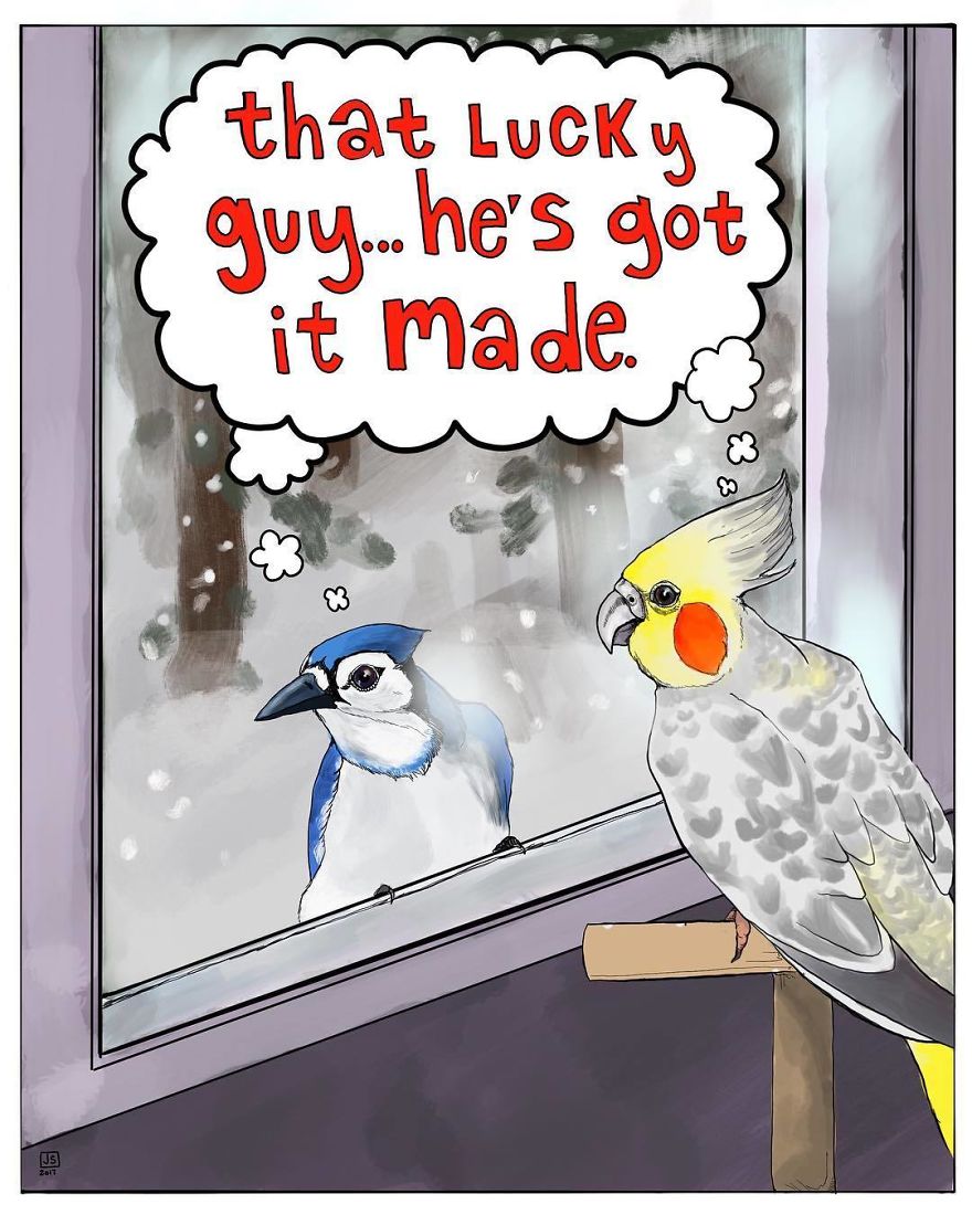 I Make Animal Comics To Cope With Anxiety