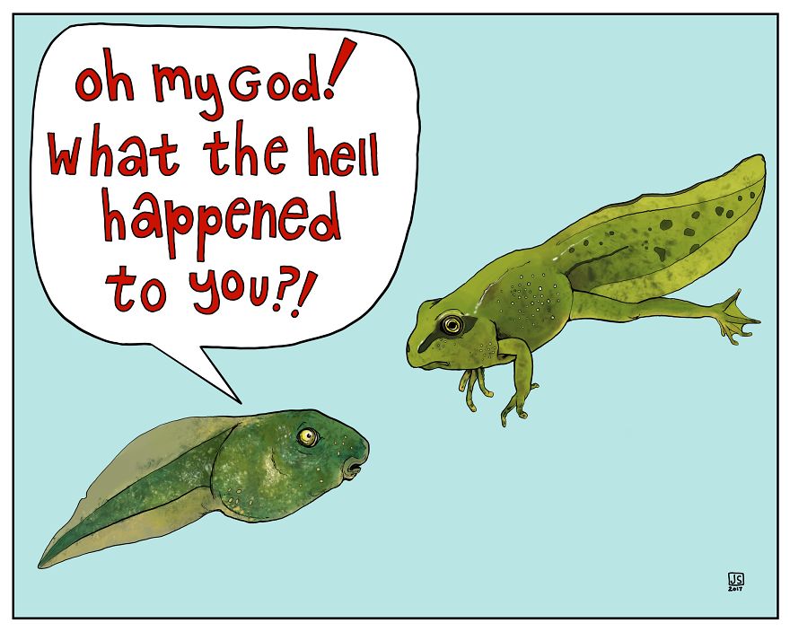 I Make Animal Comics To Cope With Anxiety