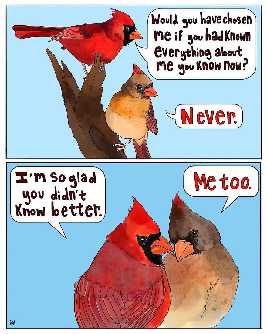 I Make Animal Comics To Cope With Anxiety
