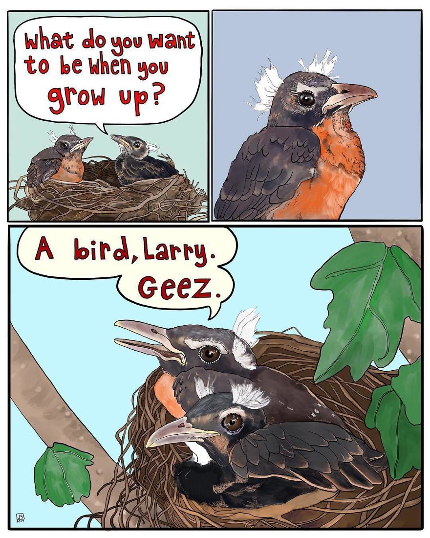 I Make Animal Comics To Cope With Anxiety