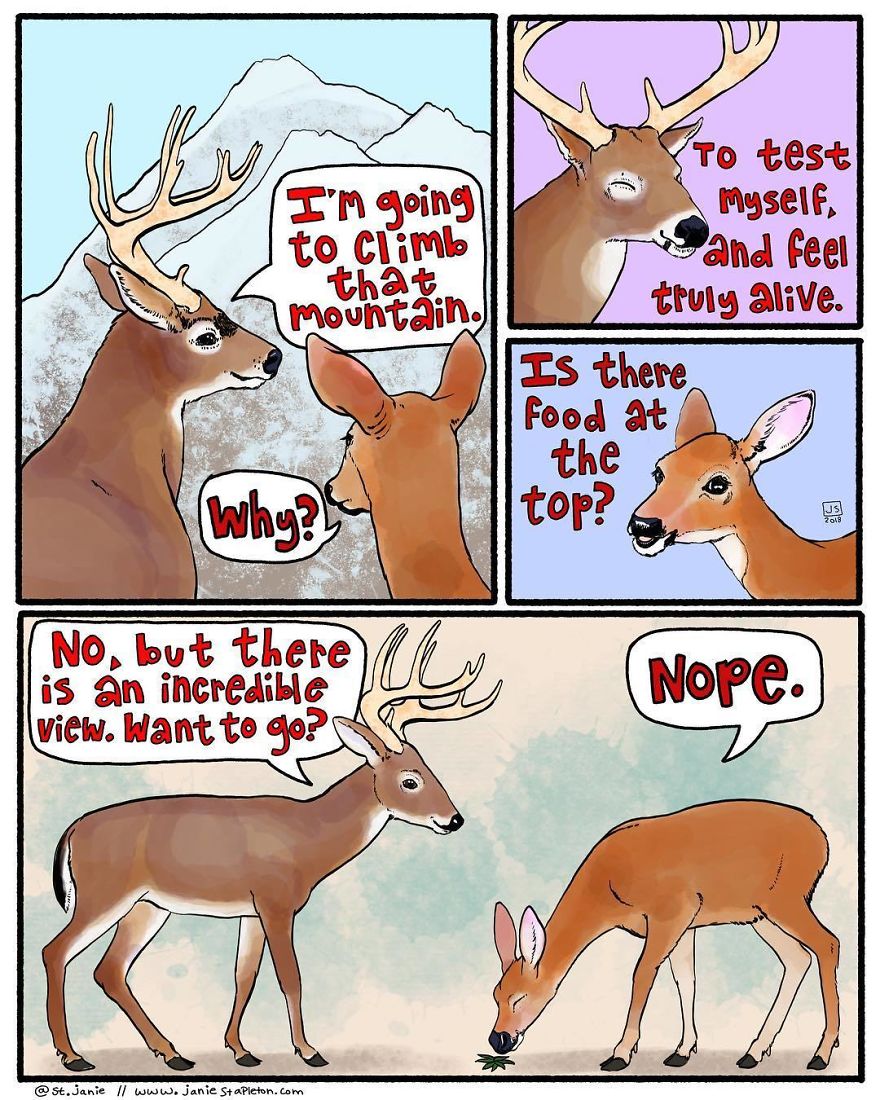 I Make Animal Comics To Cope With Anxiety