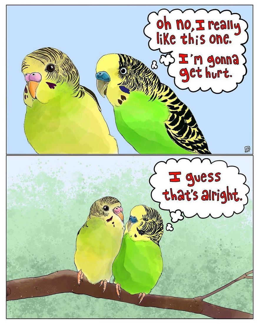 I Make Animal Comics To Cope With Anxiety