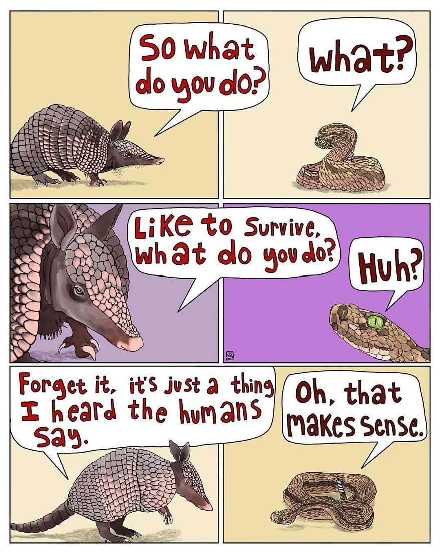 I Make Animal Comics To Cope With Anxiety