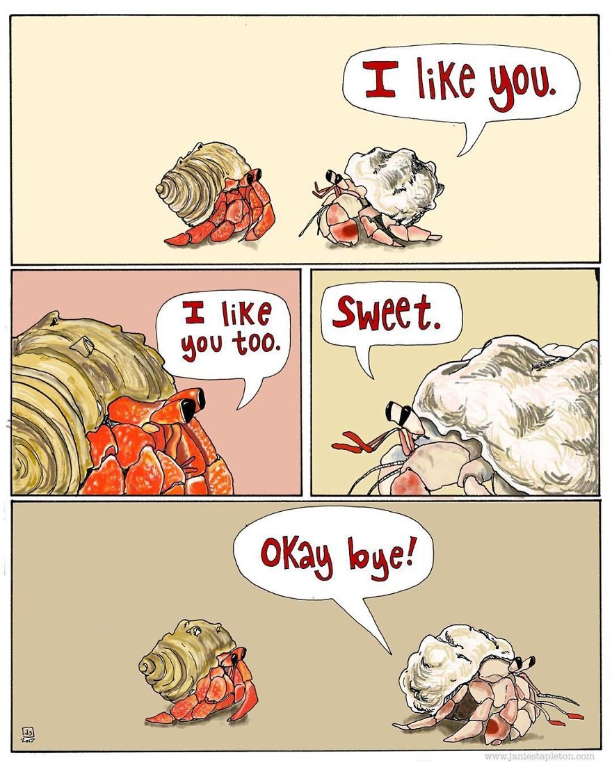 I Make Animal Comics To Cope With Anxiety