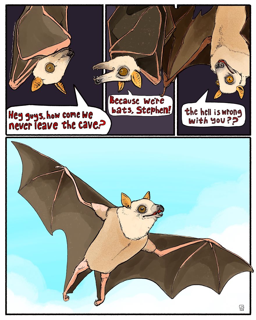 I Make Animal Comics To Cope With Anxiety