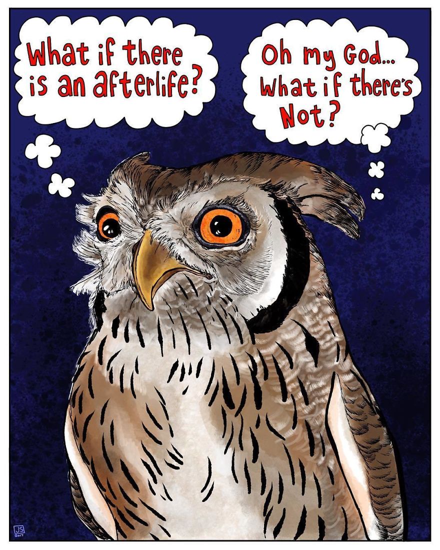 I Make Animal Comics To Cope With Anxiety