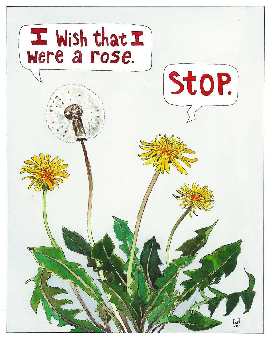 I Make Animal Comics To Cope With Anxiety